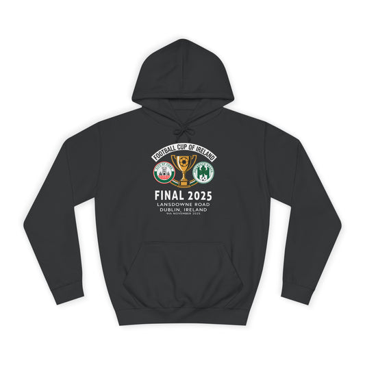 Football Cup of Ireland Final Hoodie