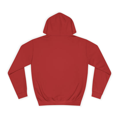 Football Cup of Ireland Final Hoodie