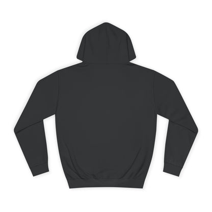Football Cup of Ireland Final Hoodie